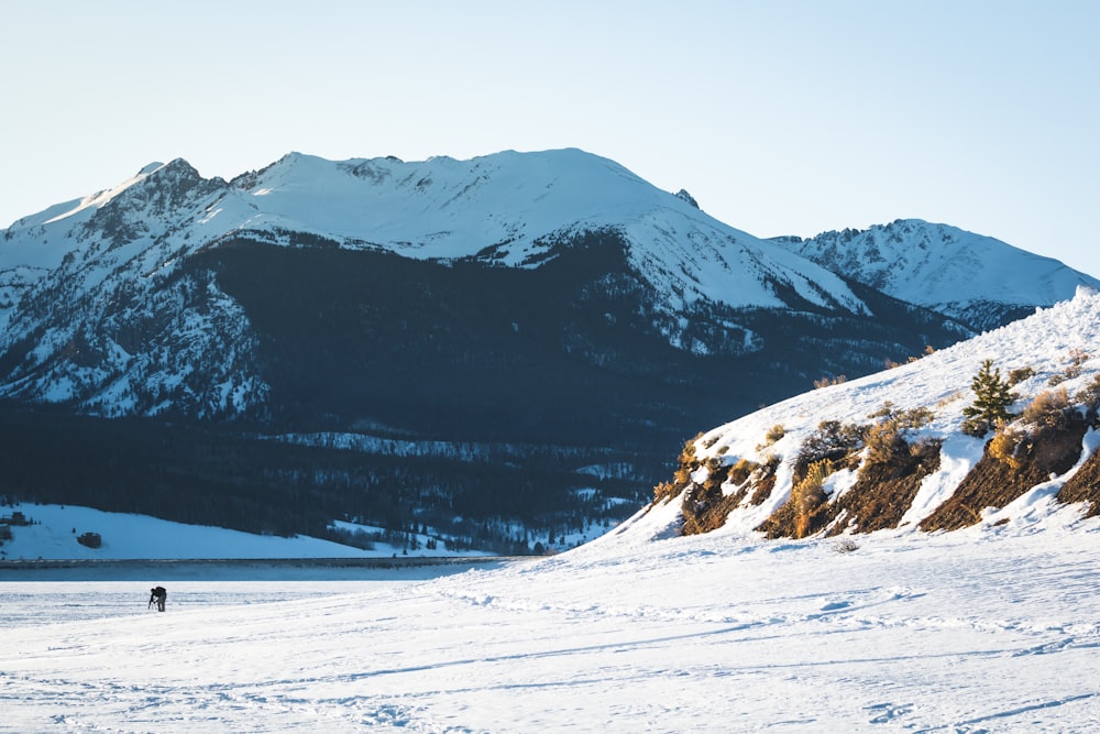 snow-covered mountain during daytime