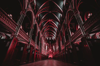 photography of inside building