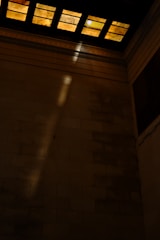 A skilled contractor painting a cozy living room wall with natural light streaming in.