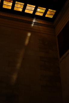 A skilled contractor painting a cozy living room wall with natural light streaming in.