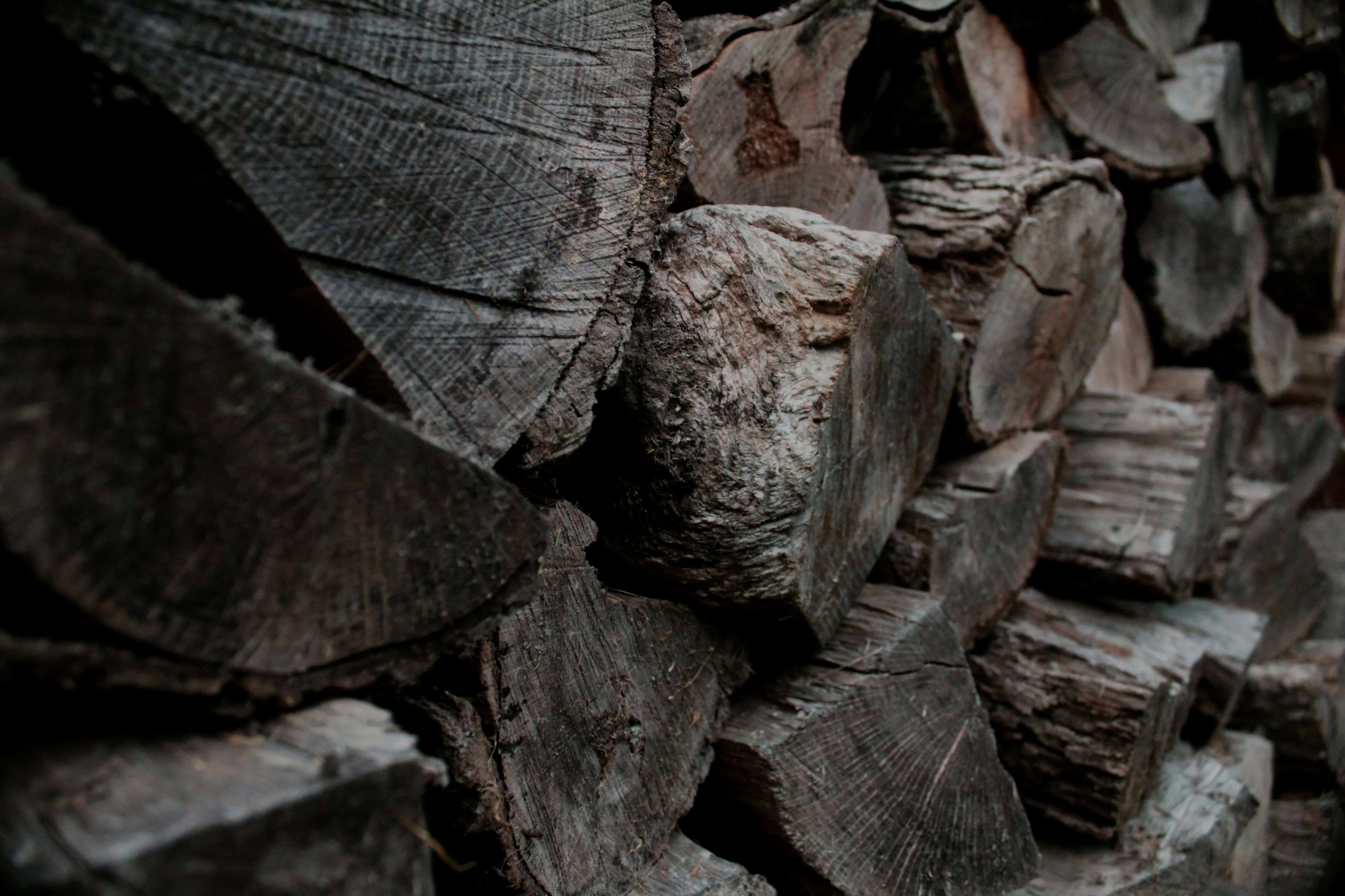 Photo by haleyshives