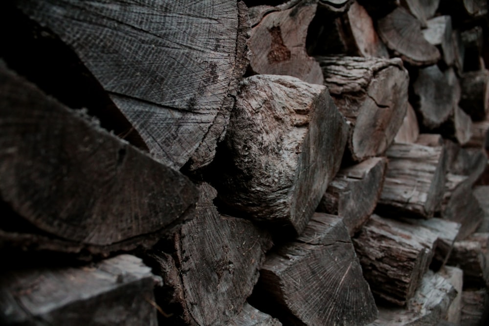 close photo of stack of brown logs