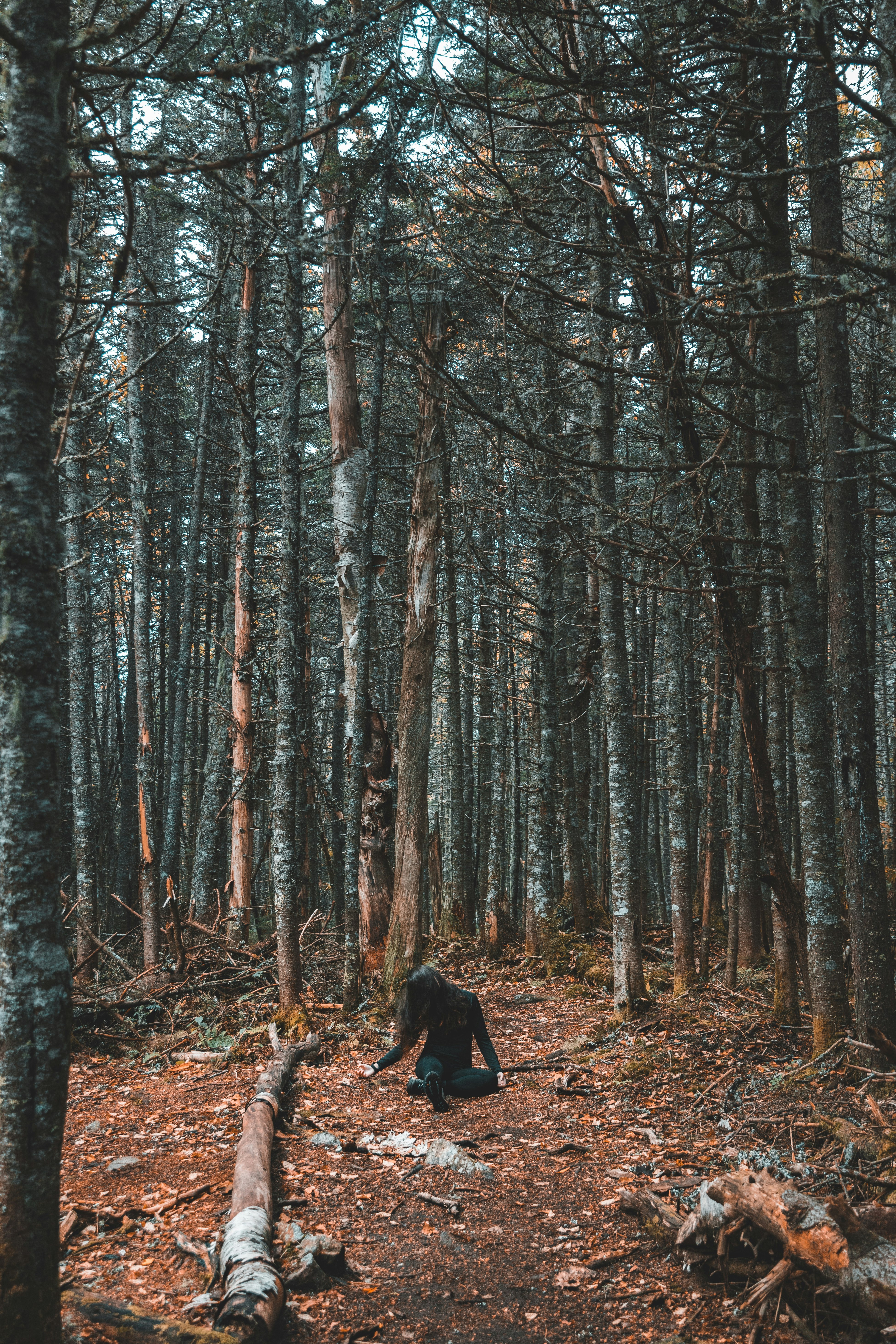 woman sitting on soil