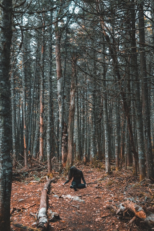 woman sitting on soil in Crawford Notch State Park United States