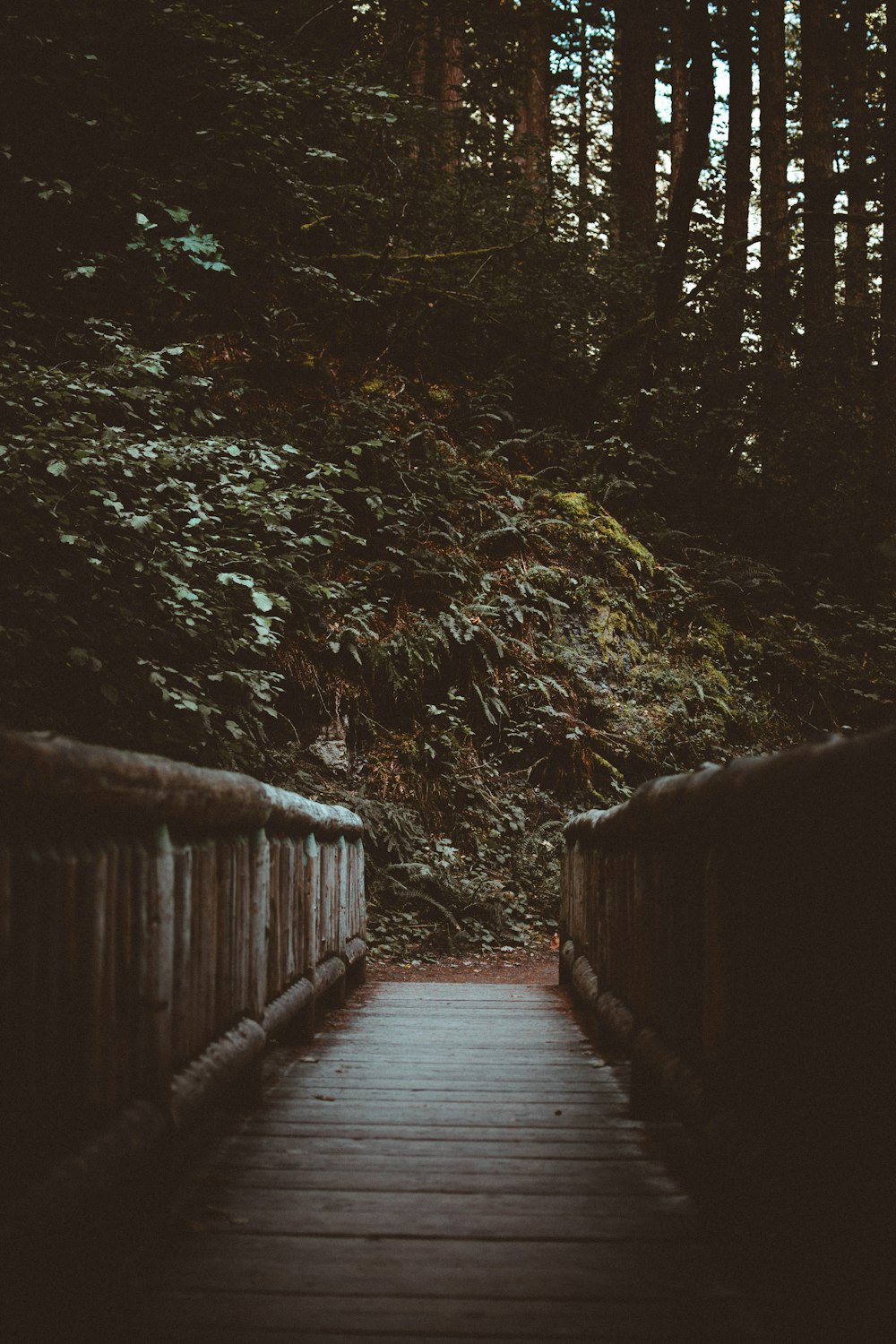 braune Holzbrücke in der Nähe von grünen Bäumen