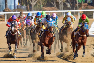 equestrian riding horse at daytime