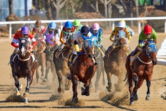 equestrian riding horse at daytime