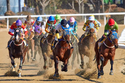 equestrian riding horse at daytime