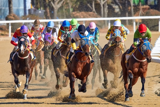 equestrian riding horse at daytime