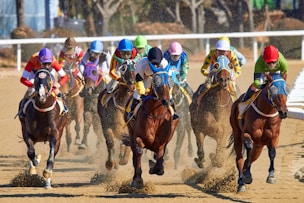 Corrida de cavalos