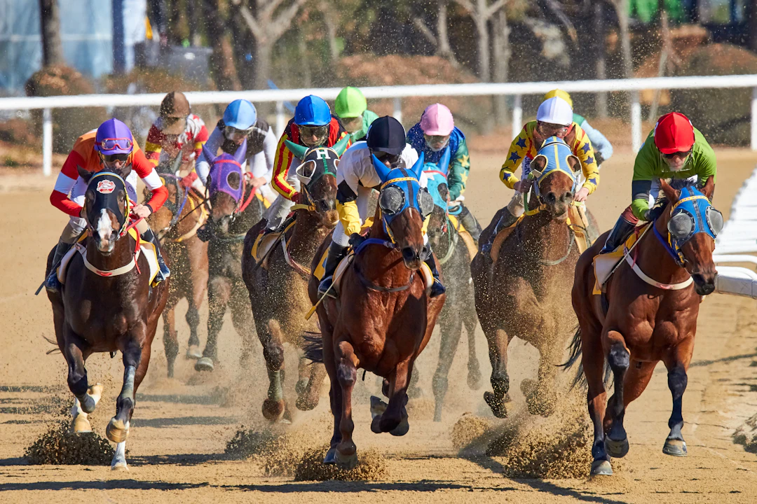 Horse race at a track illustrating the competitive journey