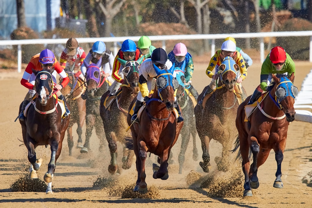equestrian riding horse at daytime, Horse racing in Korea