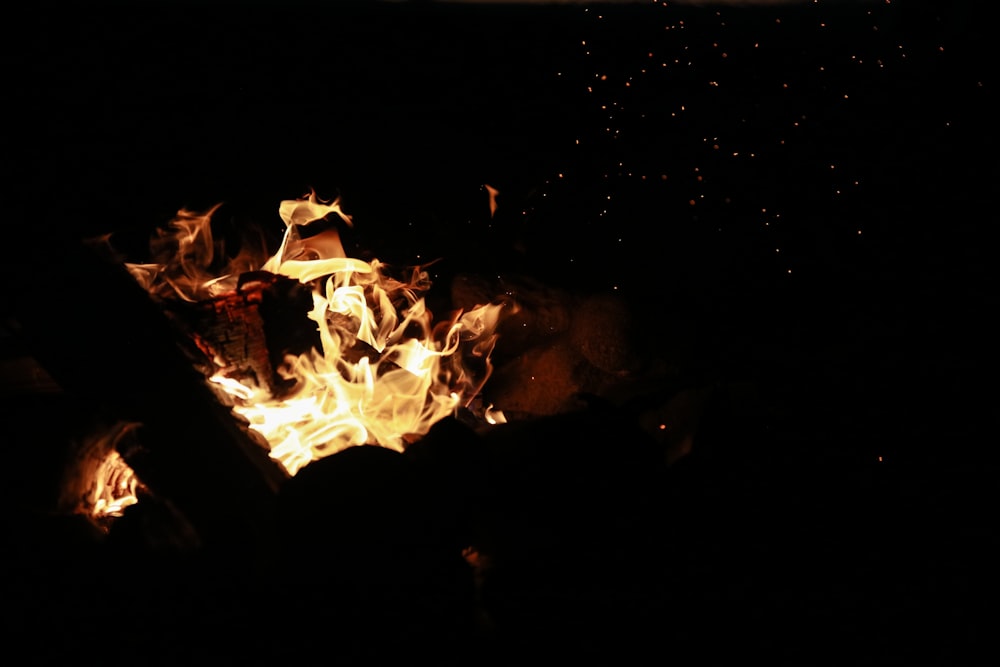 flaming woods at night
