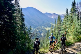 three person riding on bicycles during daytime