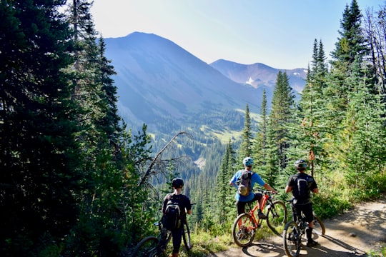 three person riding on bicycles during daytime in Spruce Lake Protected Area Canada