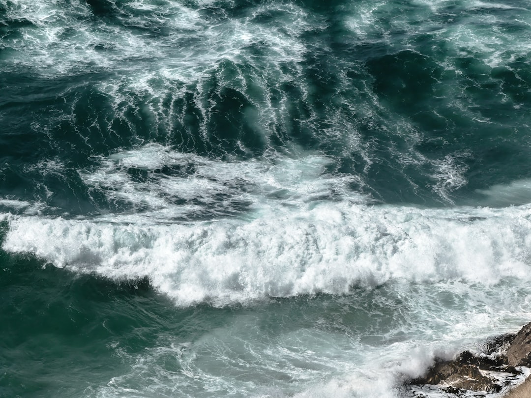 photo of Otago Shore near Nugget Point Lighthouse