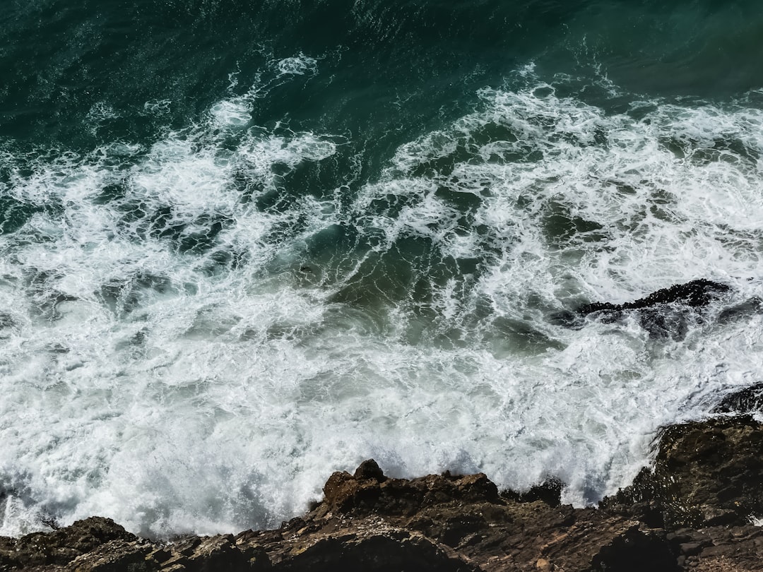 photo of Otago Shore near Nugget Point Lighthouse