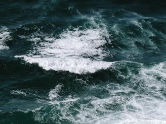 body of water