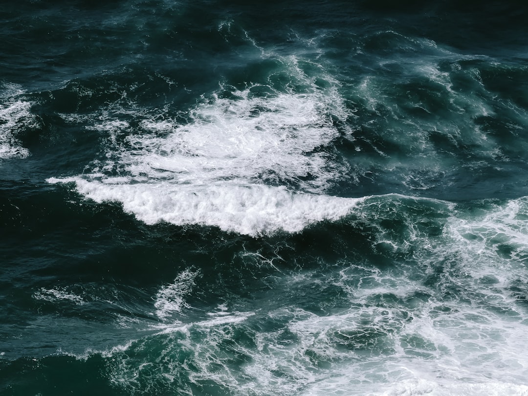 photo of Otago Ocean near Purakaunui Falls