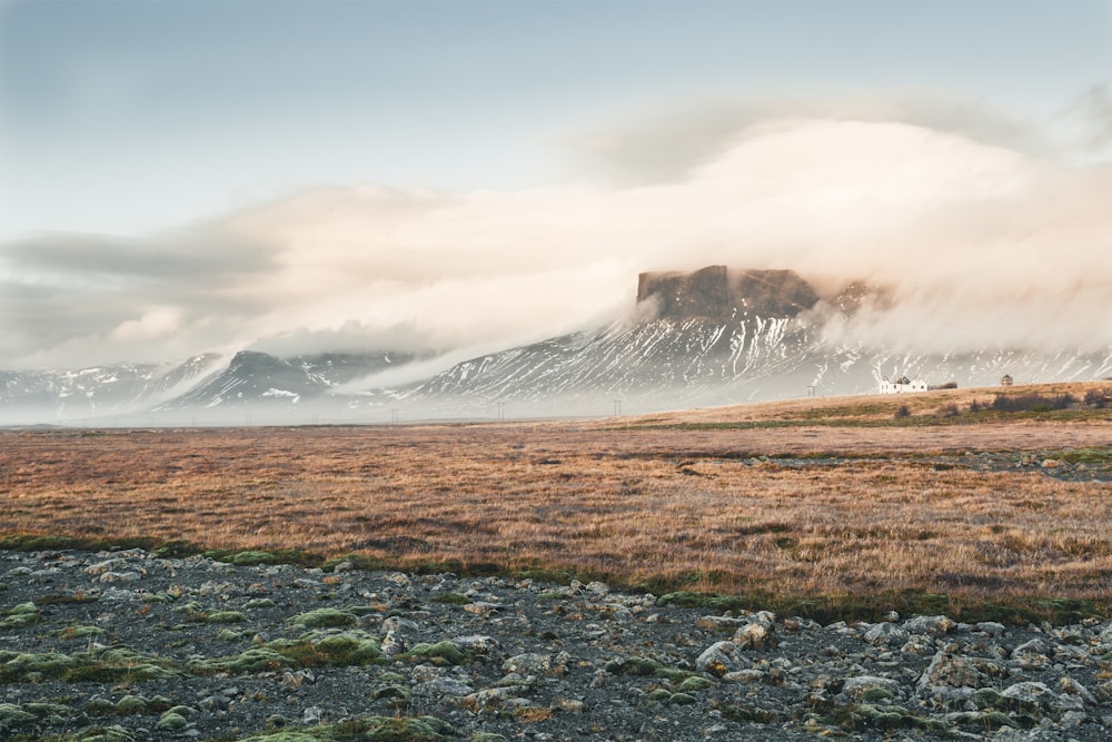 low angle photo of mountain