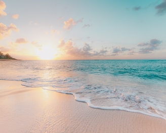 seashore during golden hour