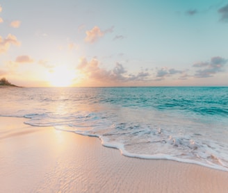 seashore during golden hour