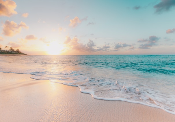 seashore during golden hour