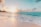 seashore during golden hour