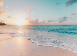 seashore during golden hour