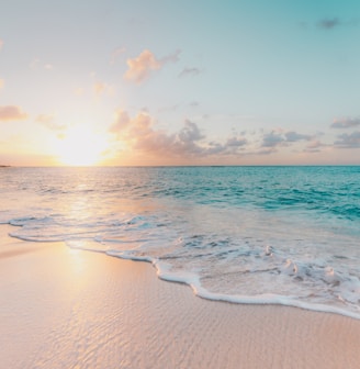 seashore during golden hour