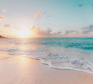 seashore during golden hour