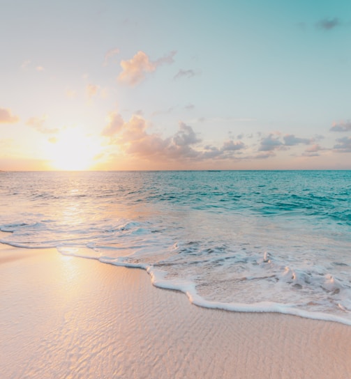 seashore during golden hour