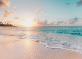 seashore during golden hour