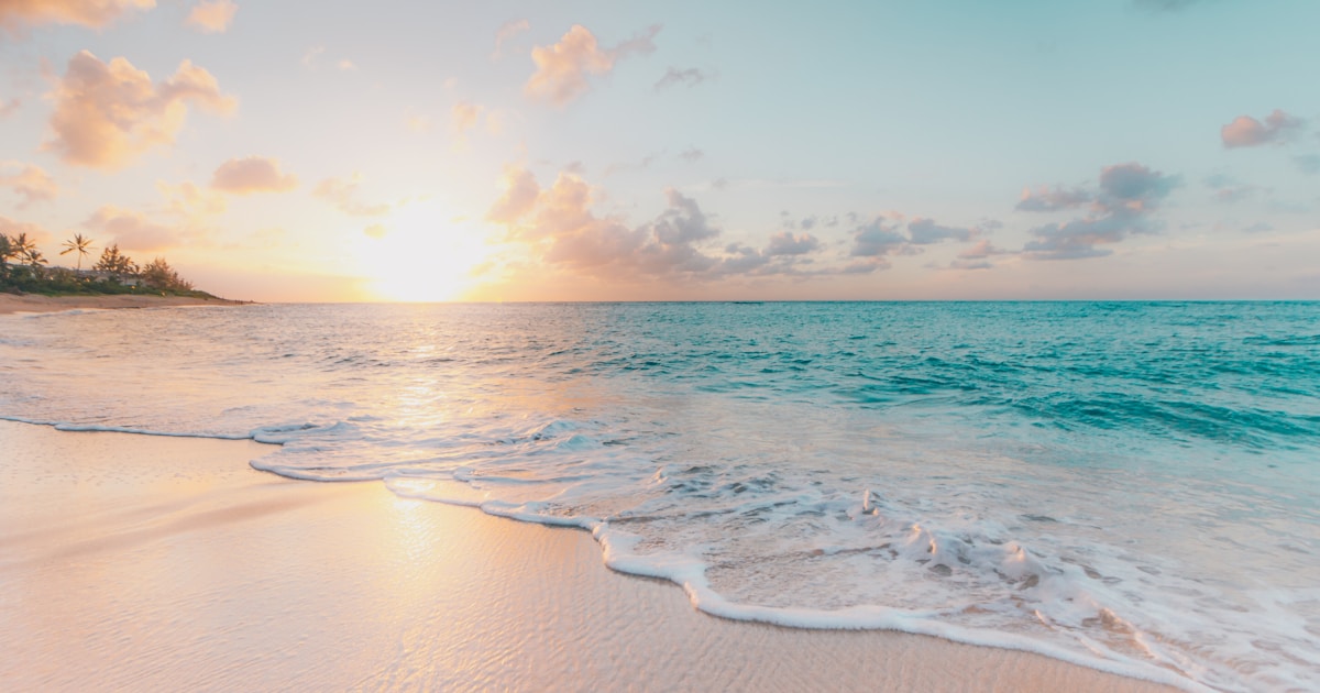 Top 6 Angel Investors in Hawaii for Travel and Tourism Tech