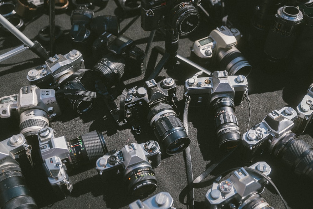 assorted-brand bridge cameras