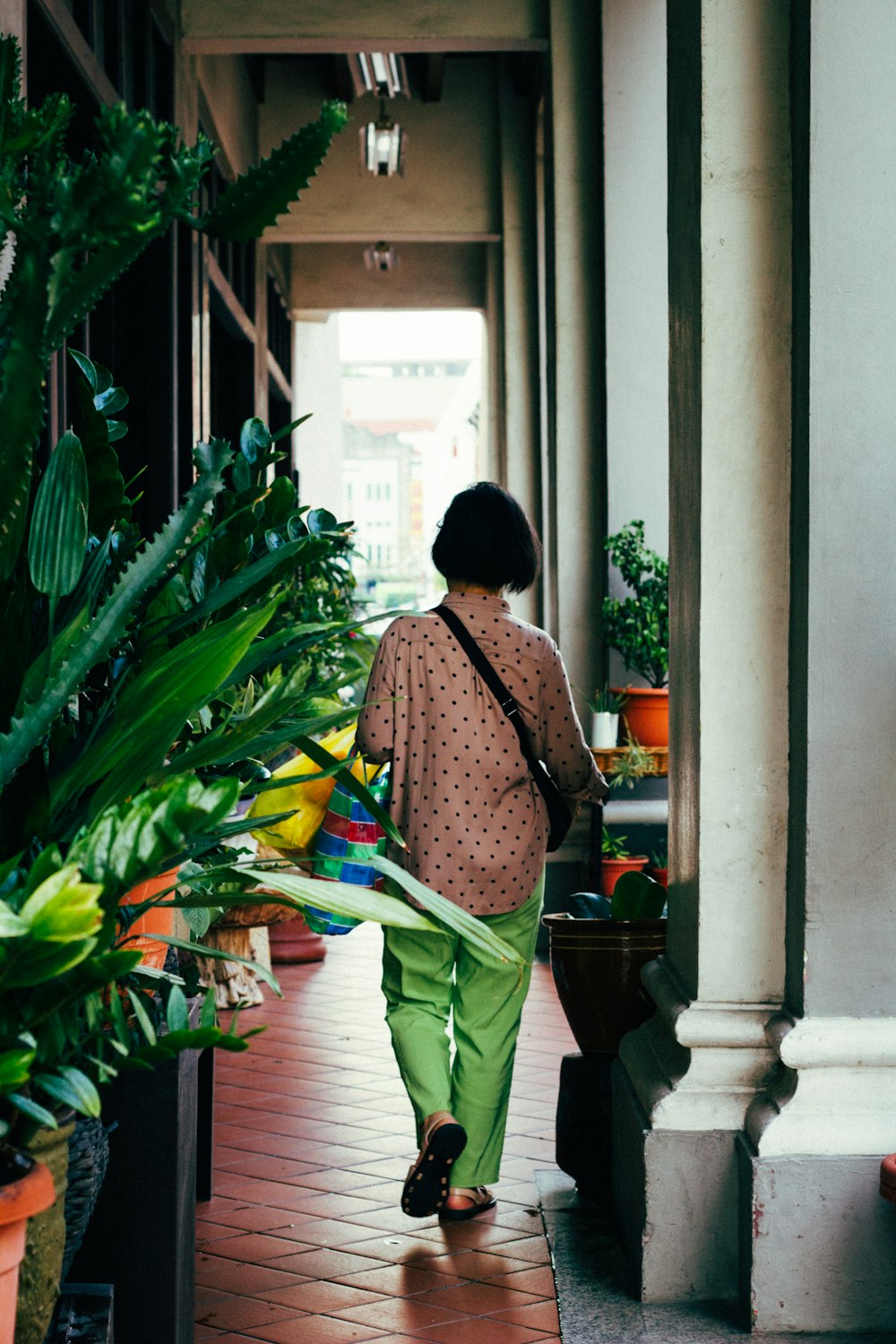 植物の近くを歩く女性