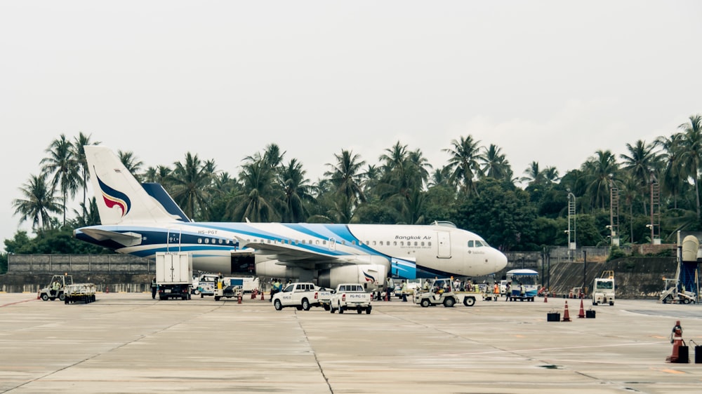 group of people near airplane