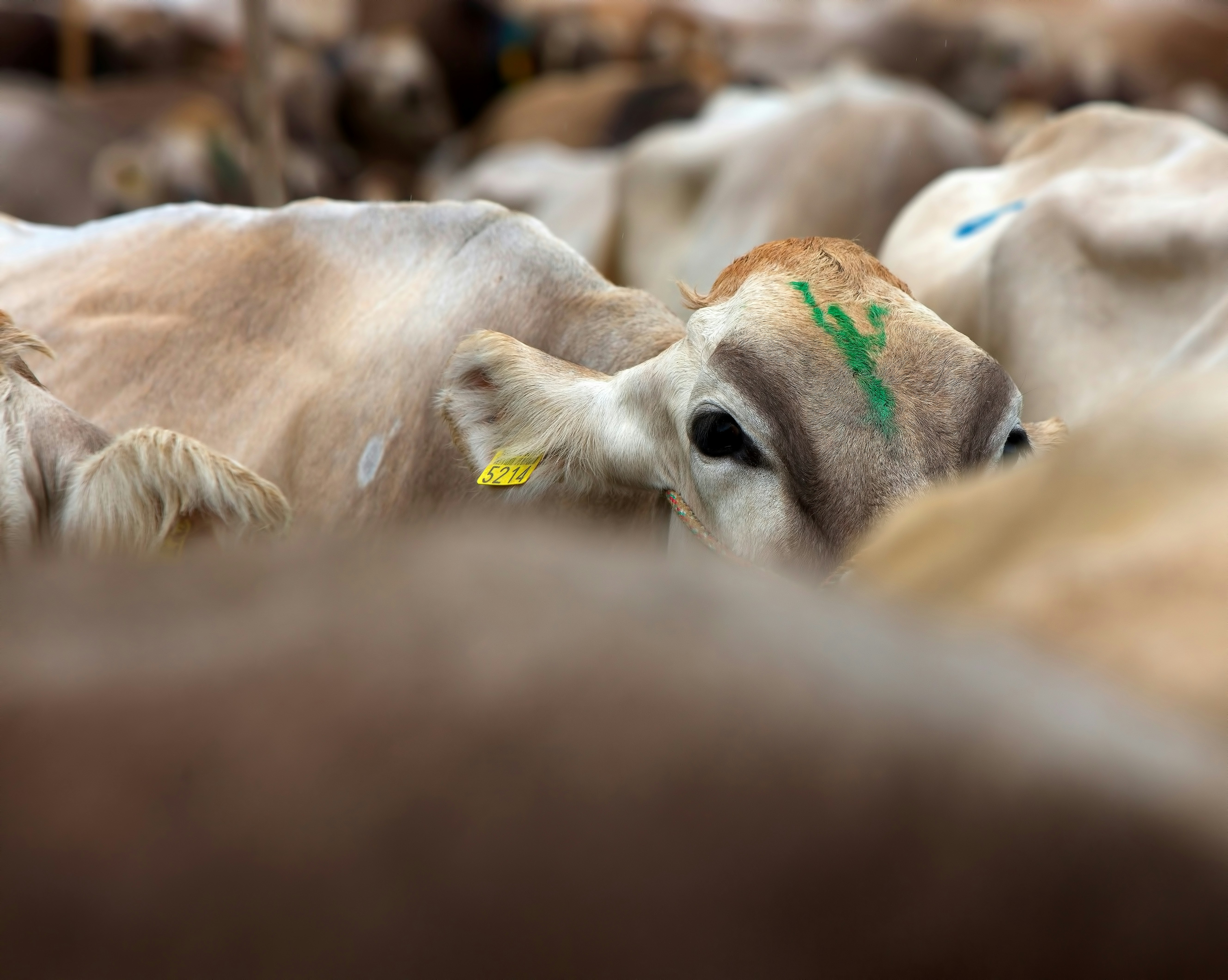 Photo by rgaleriacom