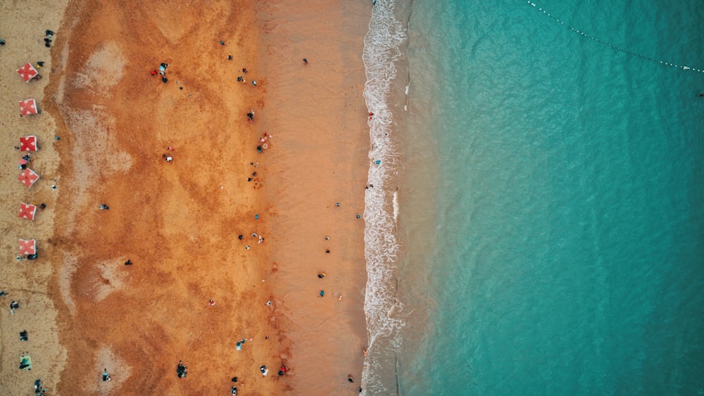 bird's eye photograph of beach