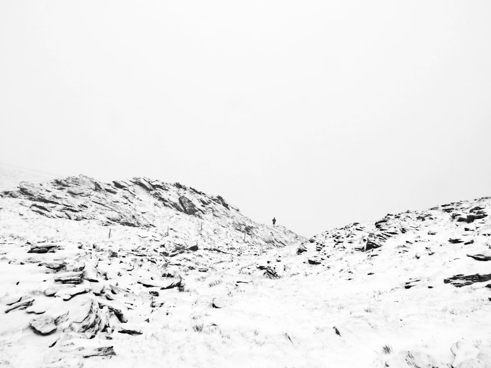 白い空の下に雪に覆われた山