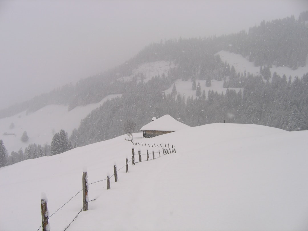 travelers stories about Hill station in Schwarzsee, Switzerland