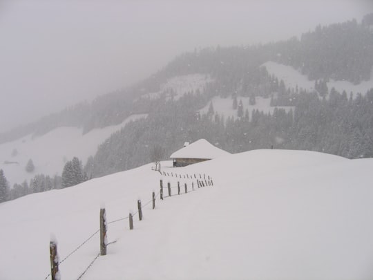 snow covered mountain while snow fall in Schwarzsee Switzerland