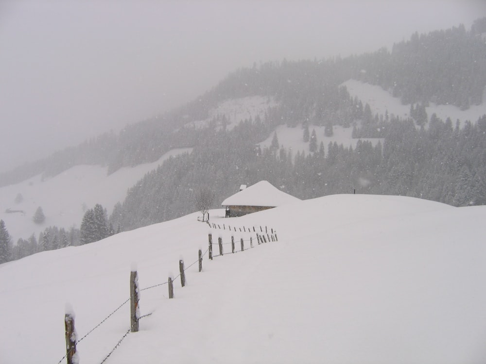 snow covered mountain while snow fall