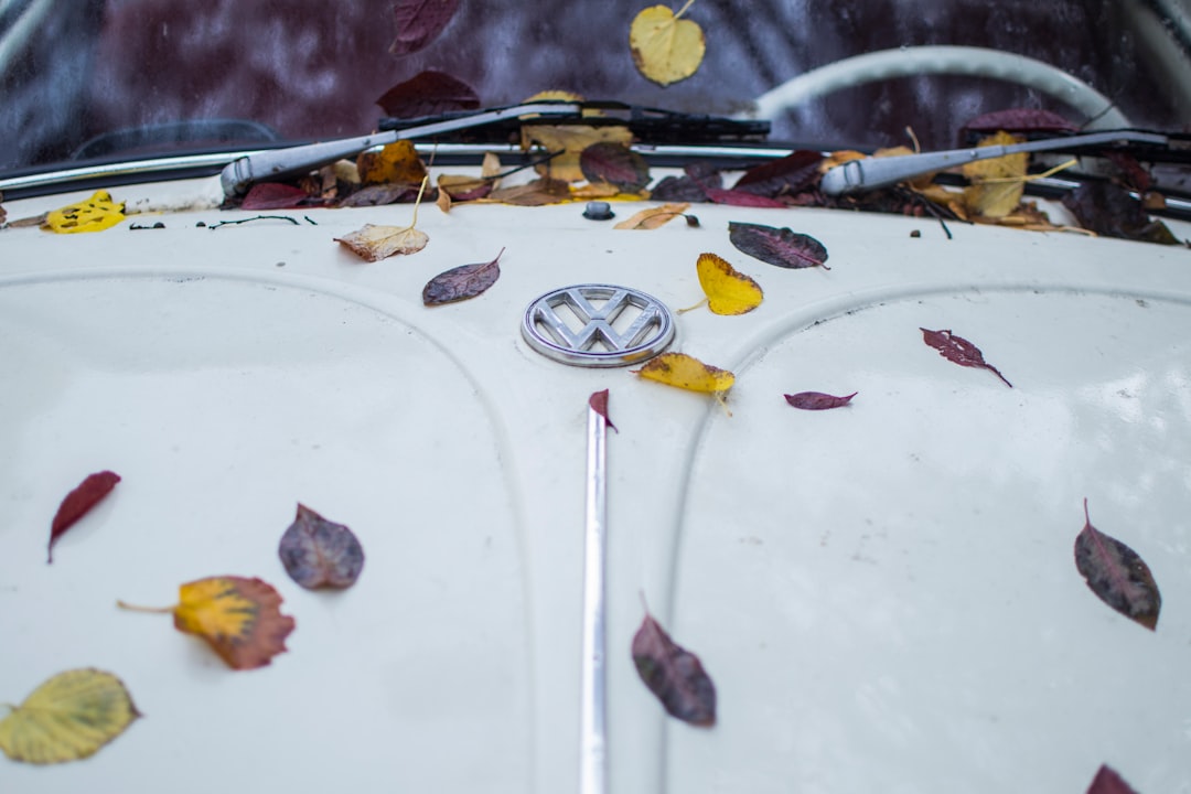 close up photo of white Volkswagen car