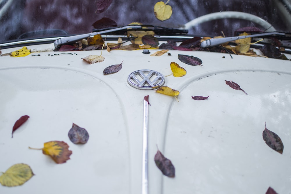 close up photo of white Volkswagen car