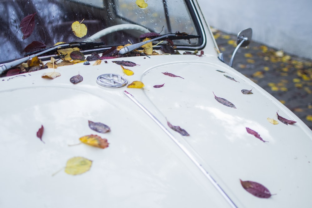 Voiture blanche