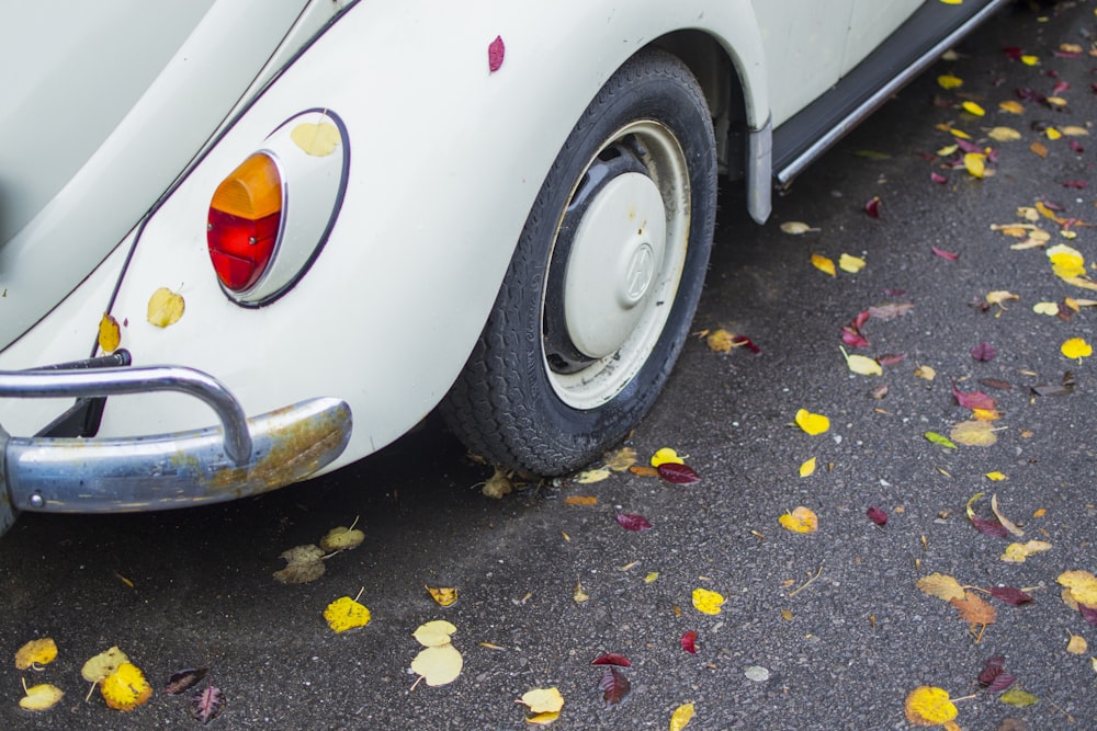 white Volkswagen Beetle on road