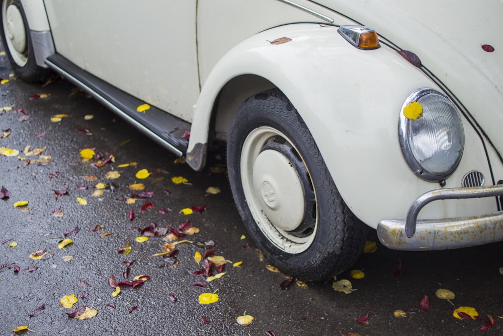 white Volkswagen bettle