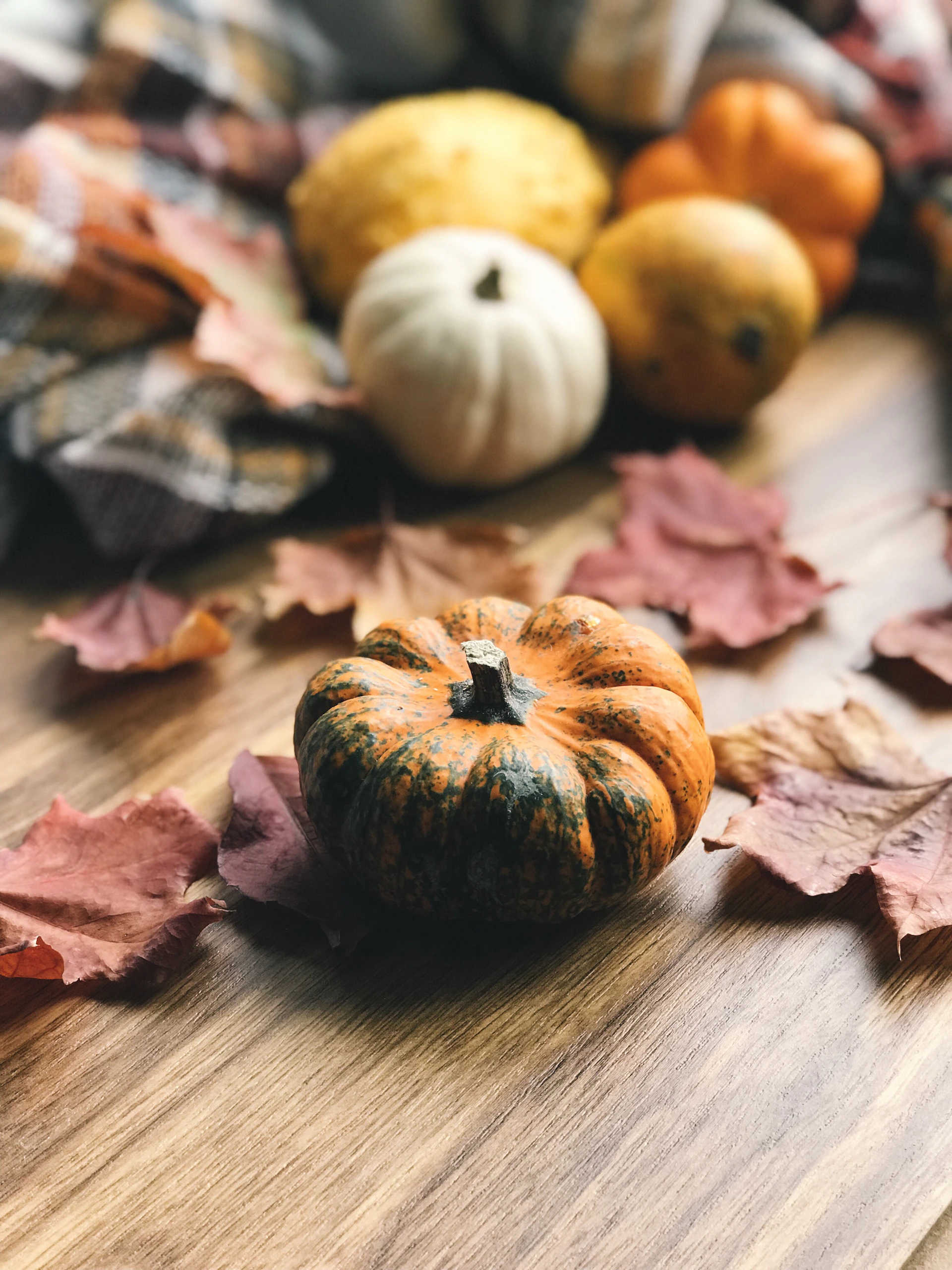 A small striped pumpkin surrounded by autumn leaves on a wooden surface