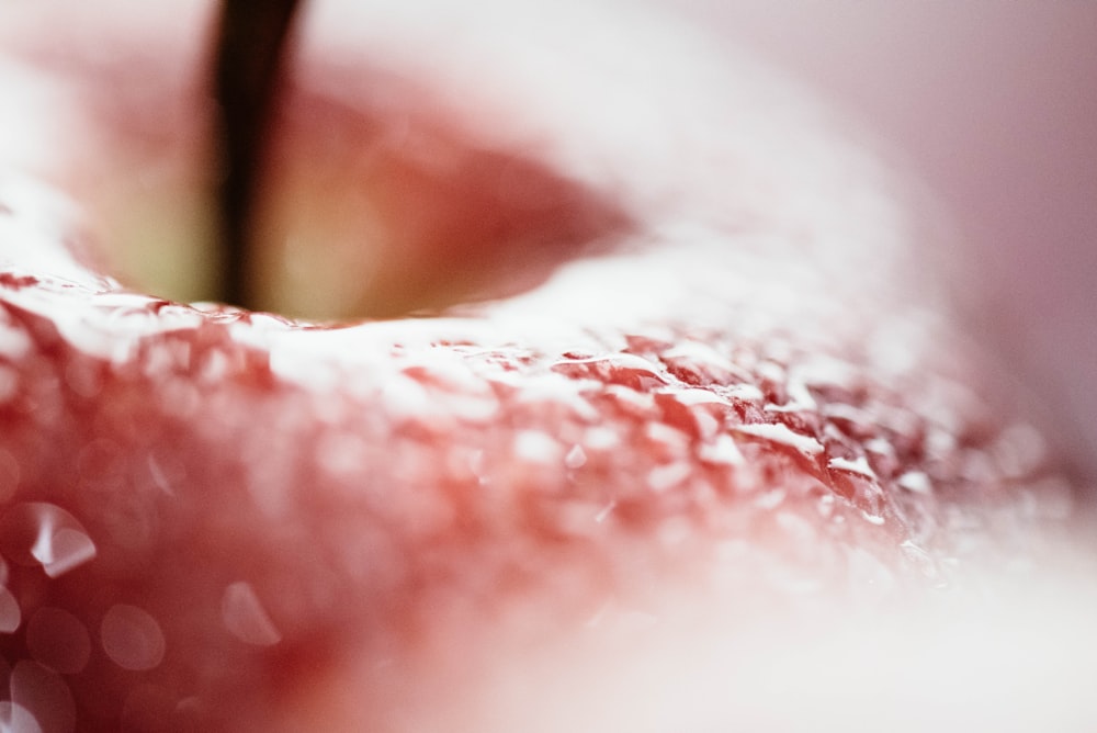 close-up photo of Apple fruit